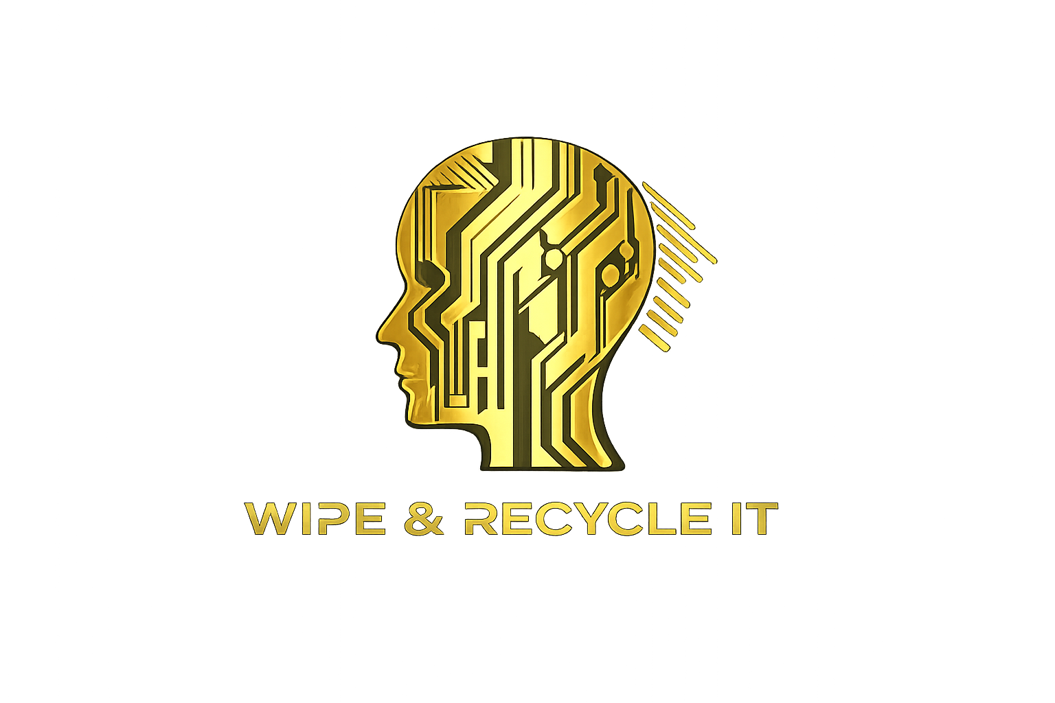 Wipe & Recycle IT logo